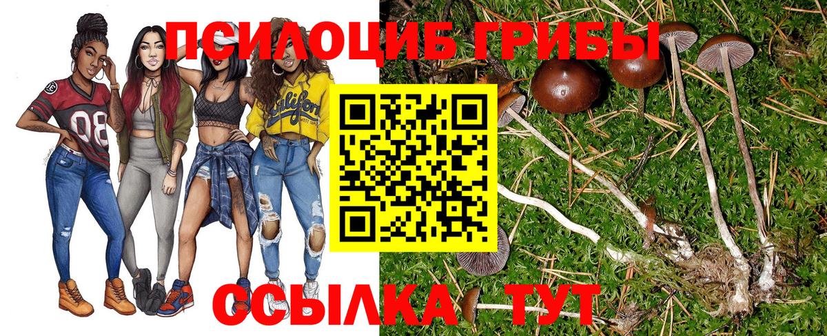 Галлюциногенные грибы Cubensis  Вход с VPN  Саров 